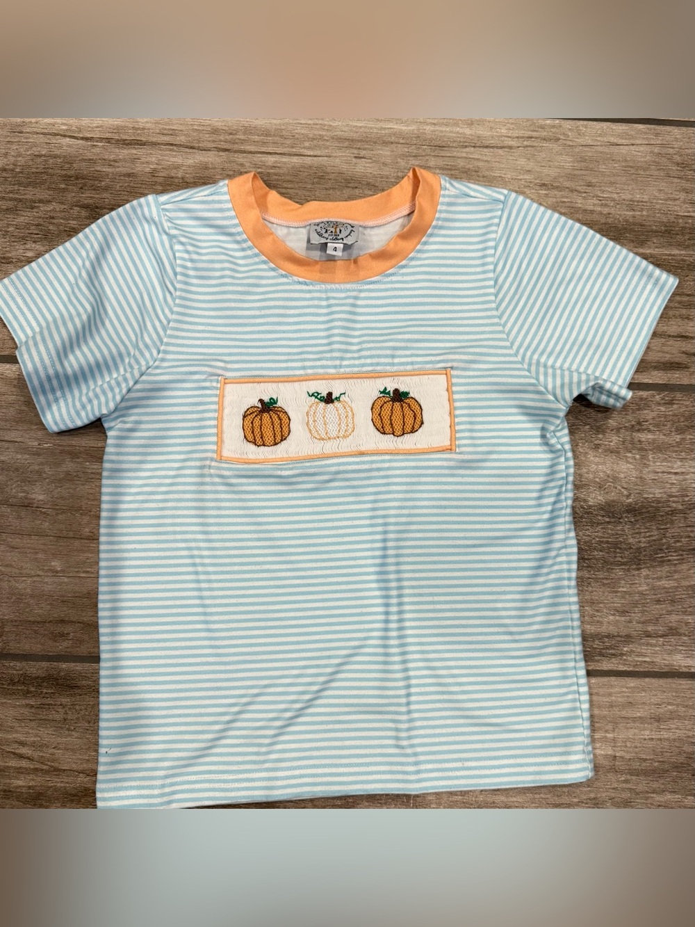 Sweet Southern Smocks  Light Blue & White Striped Tee with Pumpkin Smock 4
